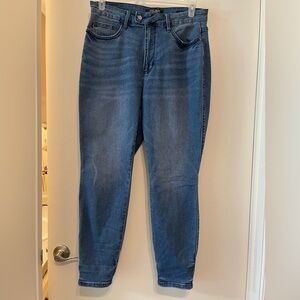 Judy Blue Light Wash Skinny Jeans